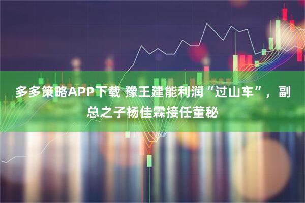多多策略APP下载 豫王建能利润“过山车”，副总之子杨佳霖接任董秘