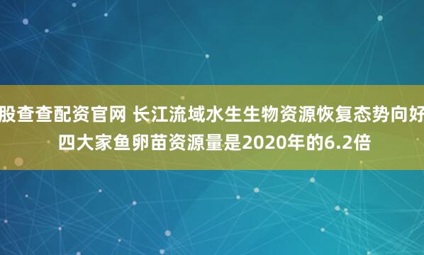 股查查配资官网 长江流域水生生物资源恢复态势向好 四大家鱼卵苗资源量是2020年的6.2倍