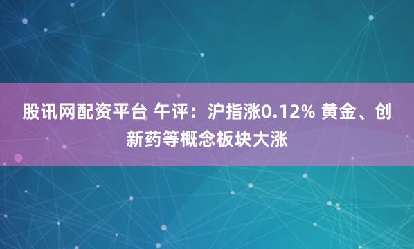 股讯网配资平台 午评：沪指涨0.12% 黄金、创新药等概念板块大涨