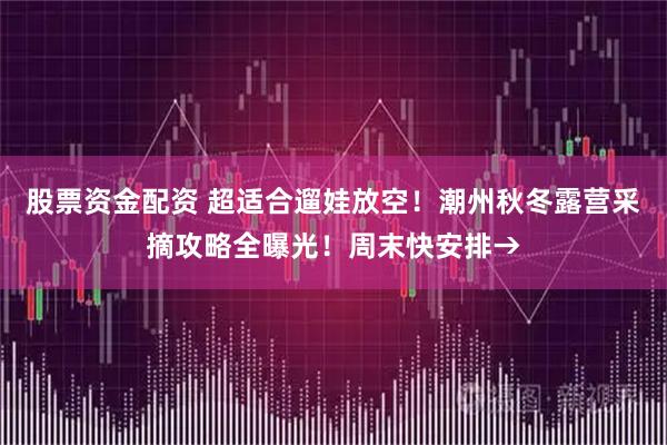 股票资金配资 超适合遛娃放空!潮州秋冬露营采摘攻略全曝光!周末快安排→